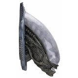 Alien Xenomorph Foam Replica Wall-Mounted Bust